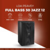 loa-full-range-bass-30-jazz-12-peavey-bao-anh-led-1